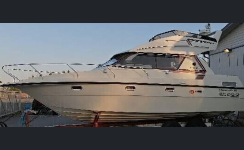 Marino Barracuda fly-kuva-1